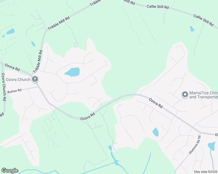 map of restaurants, bars, coffee shops, grocery stores, and more near 917 Crystal Water Court in Lawrenceville