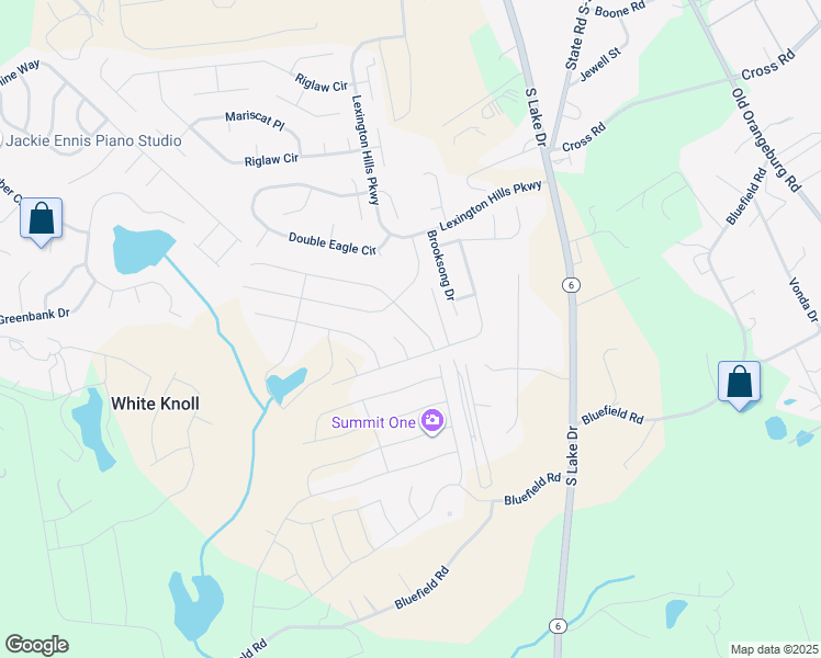 map of restaurants, bars, coffee shops, grocery stores, and more near 155 Meadow Saffron Drive in Lexington
