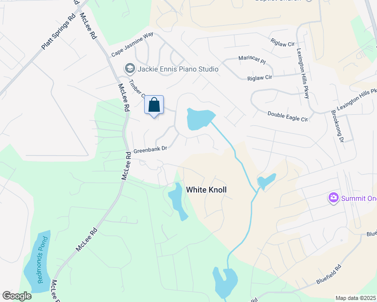 map of restaurants, bars, coffee shops, grocery stores, and more near 517 Palmetto Creek Court in Lexington