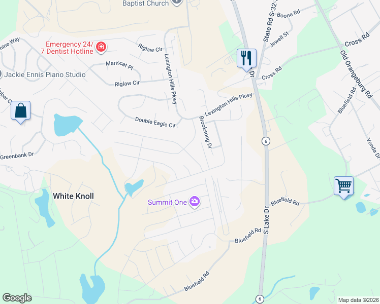 map of restaurants, bars, coffee shops, grocery stores, and more near 155 Meadow Saffron Drive in Lexington