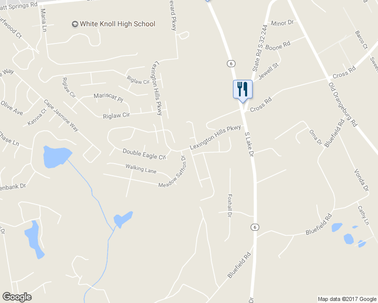 map of restaurants, bars, coffee shops, grocery stores, and more near 100 Brooksong Drive in Lexington