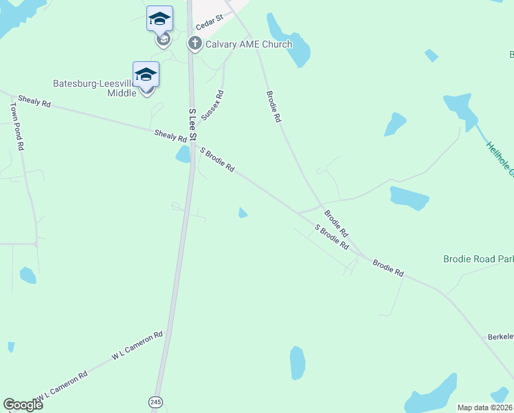 map of restaurants, bars, coffee shops, grocery stores, and more near 574 South Brodie Road in Lexington County