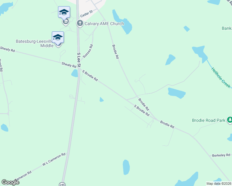 map of restaurants, bars, coffee shops, grocery stores, and more near 574 South Brodie Road in Lexington County