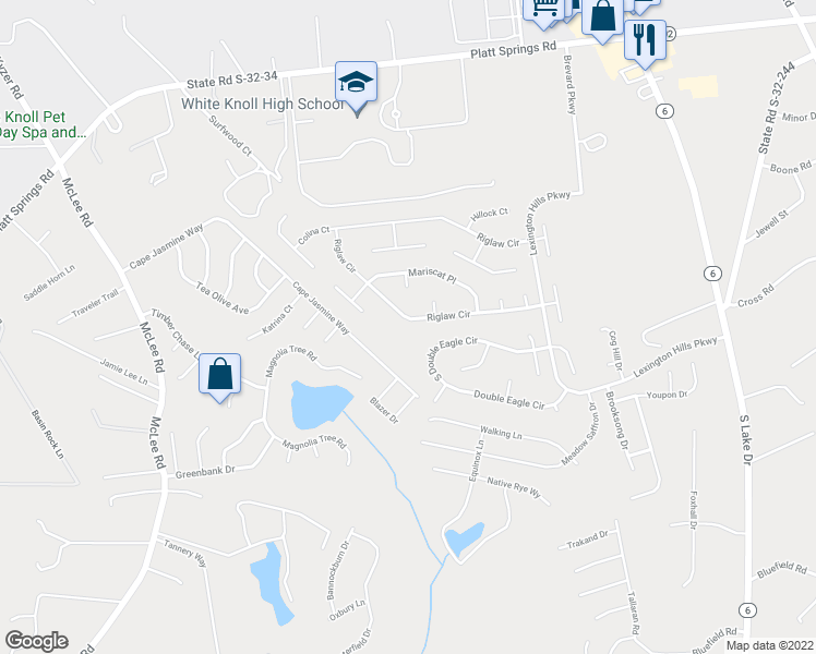 map of restaurants, bars, coffee shops, grocery stores, and more near 217 Riglaw Circle in Lexington