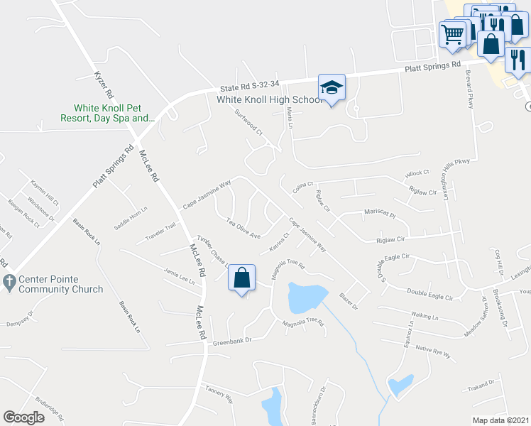 map of restaurants, bars, coffee shops, grocery stores, and more near 121 Cleyera Drive in Lexington