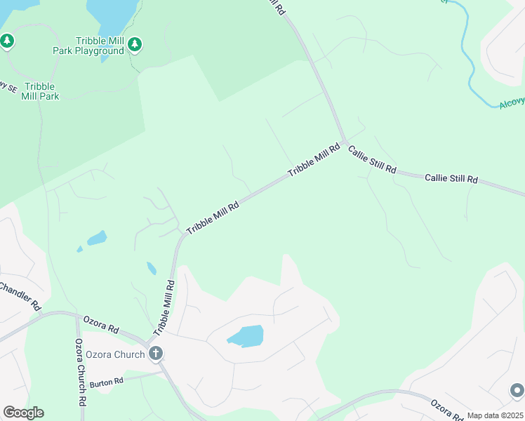 map of restaurants, bars, coffee shops, grocery stores, and more near 2719 Tribble Mill Road in Lawrenceville