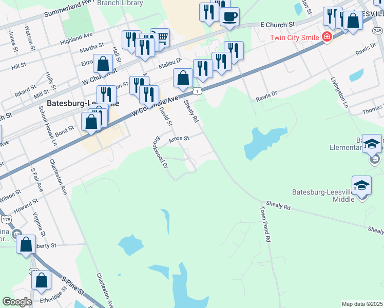 map of restaurants, bars, coffee shops, grocery stores, and more near 146 David Street in Batesburg-Leesville