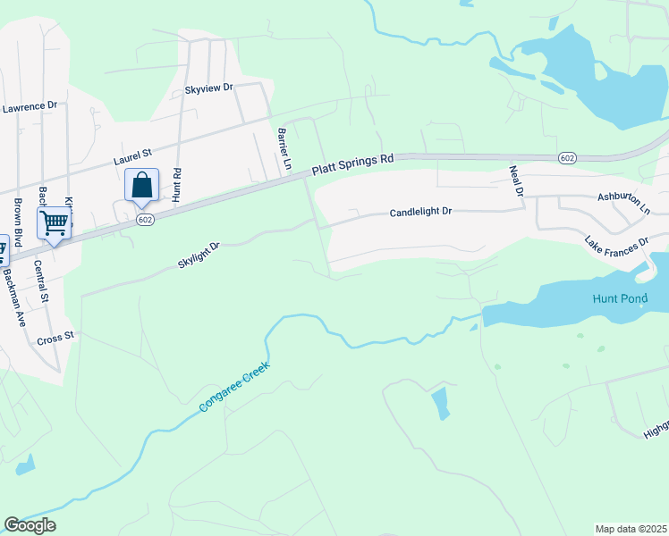 map of restaurants, bars, coffee shops, grocery stores, and more near 200 Winchester Court in West Columbia