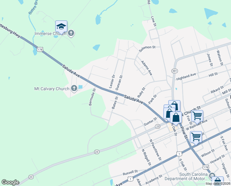 map of restaurants, bars, coffee shops, grocery stores, and more near 353 Saluda Avenue in Batesburg-Leesville