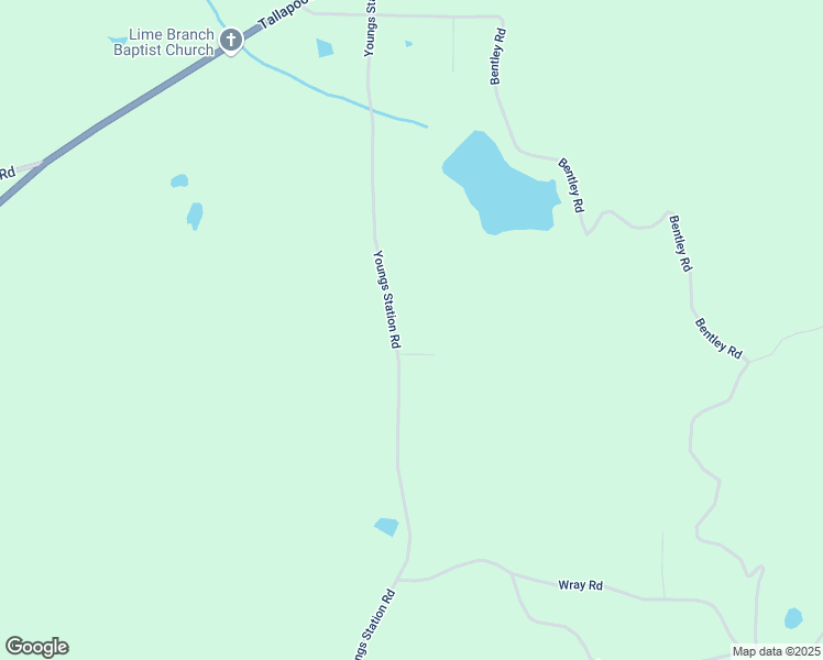 map of restaurants, bars, coffee shops, grocery stores, and more near 455 Youngs Station Road in Cedartown