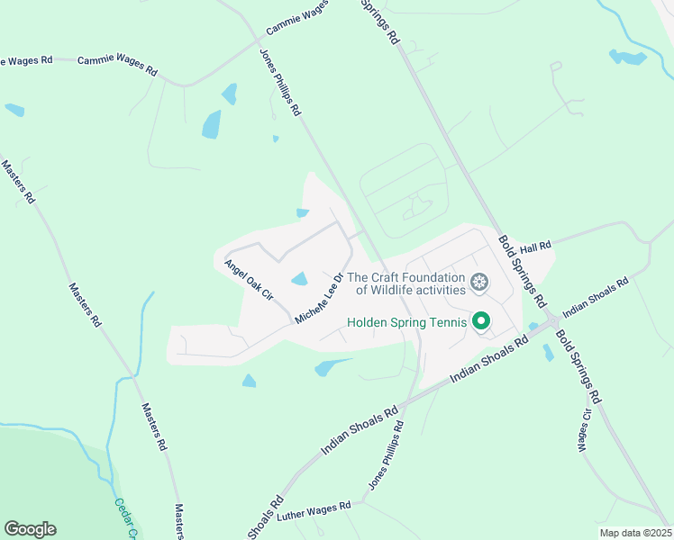 map of restaurants, bars, coffee shops, grocery stores, and more near 2974 Michelle Lee Drive in Dacula
