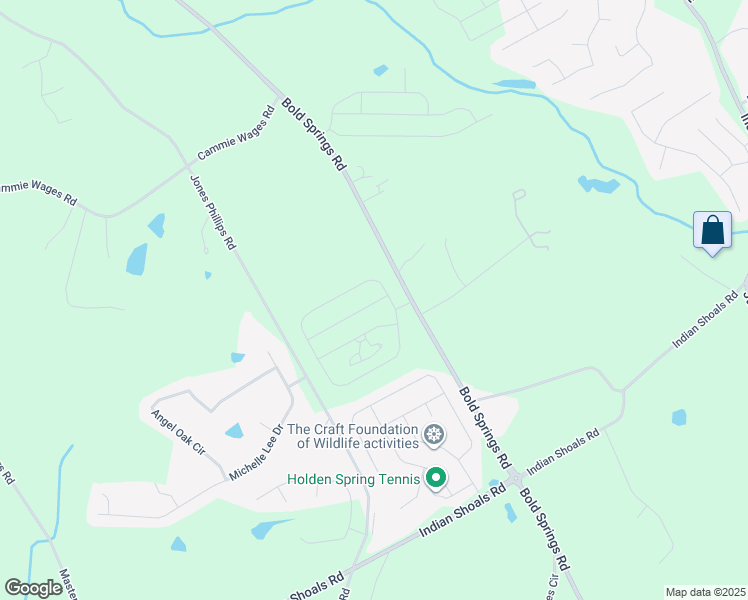 map of restaurants, bars, coffee shops, grocery stores, and more near 3113 Bold Springs Road in Dacula