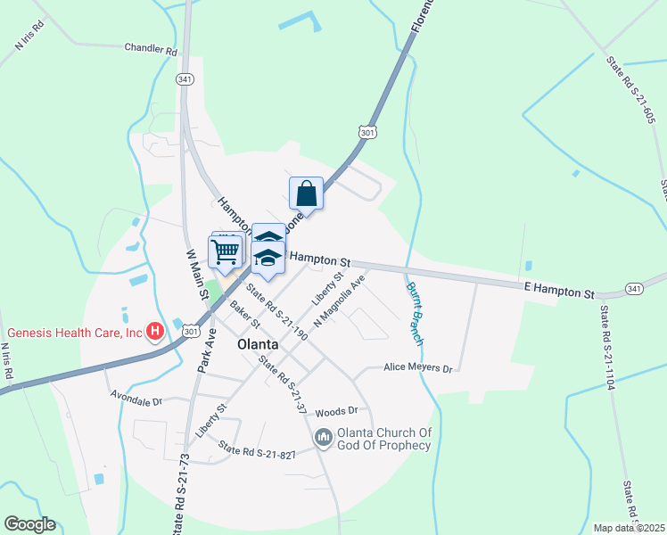 222 East Hampton Street, Olanta SC Walk Score