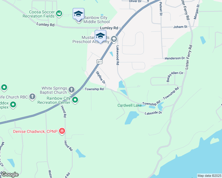 map of restaurants, bars, coffee shops, grocery stores, and more near 250 Skyline Drive in Rainbow City