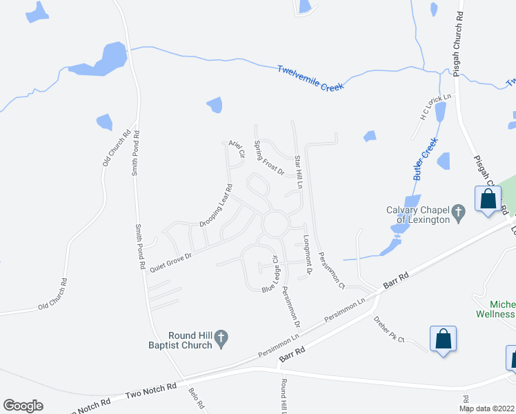 map of restaurants, bars, coffee shops, grocery stores, and more near 114 Drooping Leaf Drive in Lexington