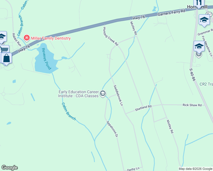 map of restaurants, bars, coffee shops, grocery stores, and more near 317 Saddlebrook Lane in Hopkins