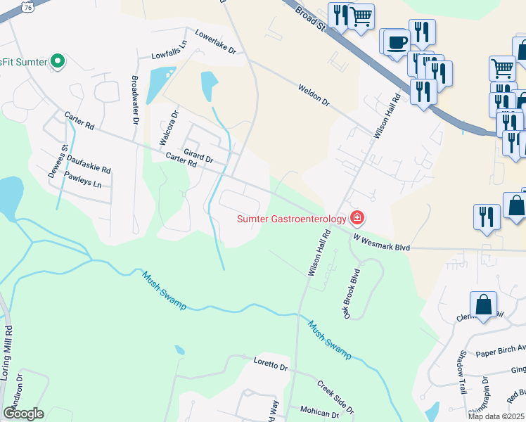 map of restaurants, bars, coffee shops, grocery stores, and more near 1049 Cutleaf Drive in Sumter