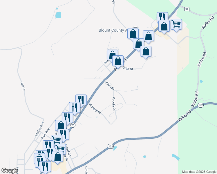 map of restaurants, bars, coffee shops, grocery stores, and more near 207 Ellen Street in Oneonta