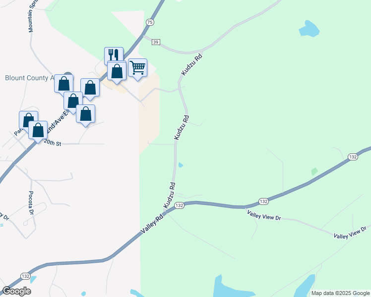 map of restaurants, bars, coffee shops, grocery stores, and more near 352 Kudzu Road in Oneonta