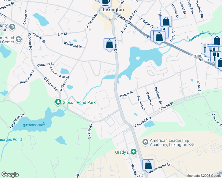 map of restaurants, bars, coffee shops, grocery stores, and more near 540 South Lake Drive in Lexington