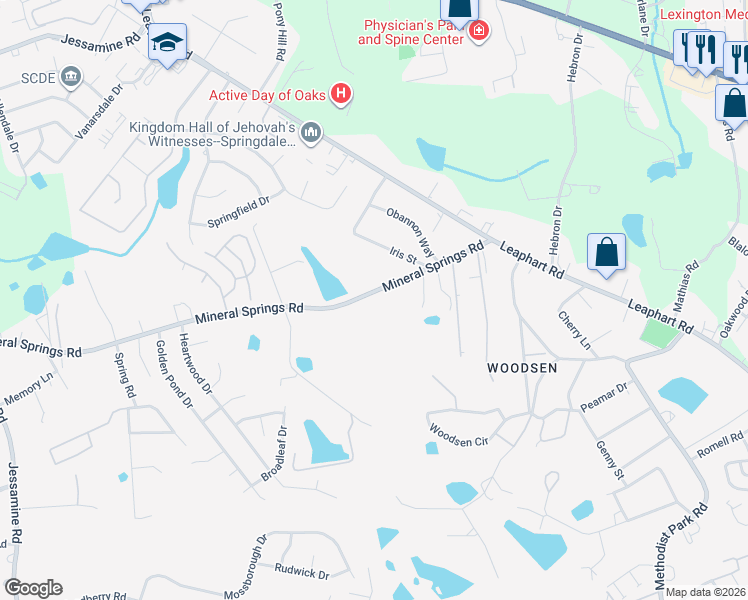 map of restaurants, bars, coffee shops, grocery stores, and more near 4220 Mineral Springs Road in Lexington