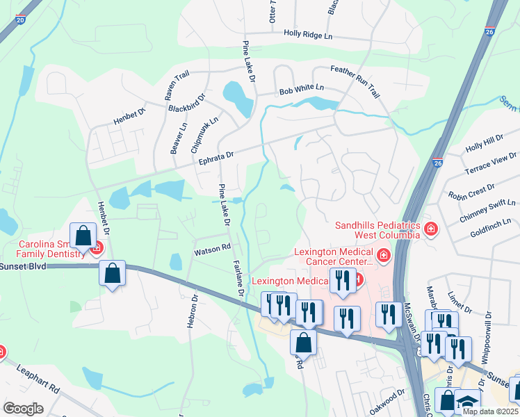 map of restaurants, bars, coffee shops, grocery stores, and more near 1017 Hulon Lane in West Columbia