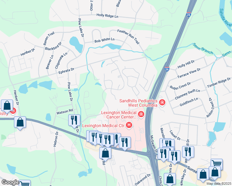 map of restaurants, bars, coffee shops, grocery stores, and more near 185 Hulon Greene Place in West Columbia