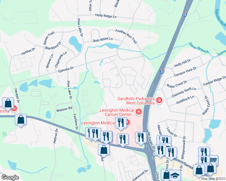 map of restaurants, bars, coffee shops, grocery stores, and more near 185 Hulon Greene Place in West Columbia