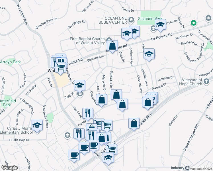 map of restaurants, bars, coffee shops, grocery stores, and more near 244 Maryville Drive in Walnut