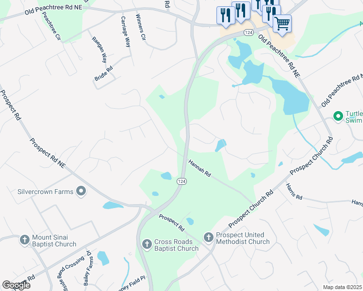 map of restaurants, bars, coffee shops, grocery stores, and more near 1629 Braselton Highway in Lawrenceville