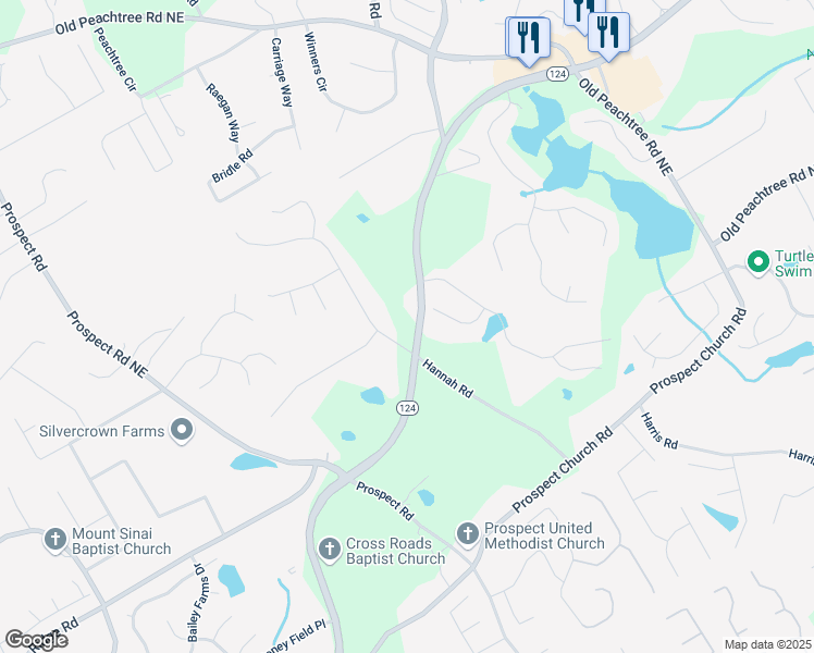 map of restaurants, bars, coffee shops, grocery stores, and more near 1629 Braselton Highway in Lawrenceville