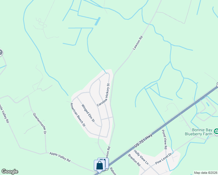 map of restaurants, bars, coffee shops, grocery stores, and more near 321 Carolina Hickory Street in Loris