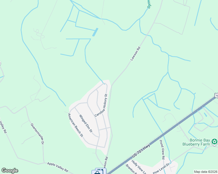 map of restaurants, bars, coffee shops, grocery stores, and more near 340 Carolina Hickory St in Loris