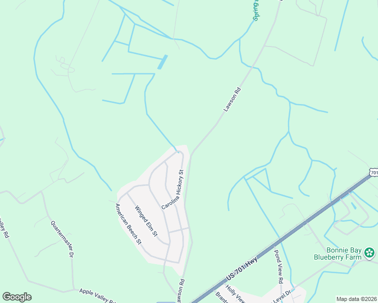 map of restaurants, bars, coffee shops, grocery stores, and more near 340 Carolina Hickory Street in Loris