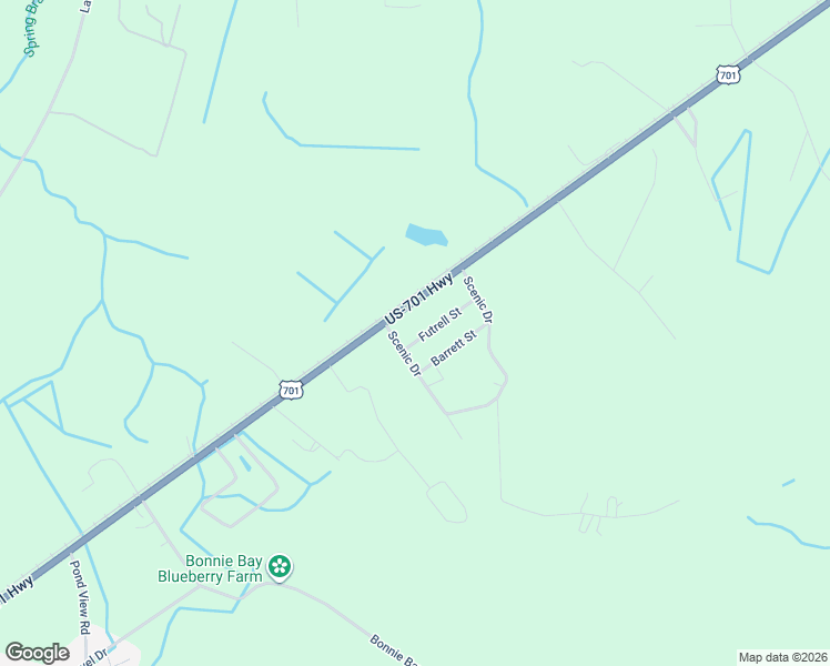 map of restaurants, bars, coffee shops, grocery stores, and more near 913 Futrell Street in Loris