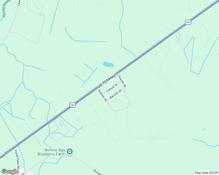 map of restaurants, bars, coffee shops, grocery stores, and more near 913 Futrell Street in Loris