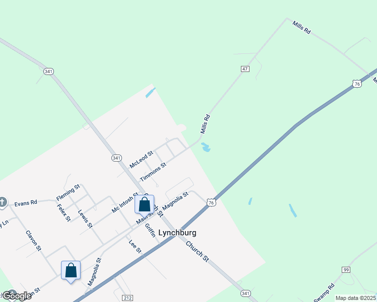 map of restaurants, bars, coffee shops, grocery stores, and more near 13 Timmons Street in Lynchburg