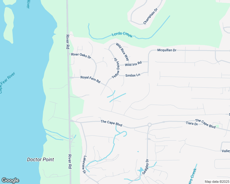 map of restaurants, bars, coffee shops, grocery stores, and more near 229 Royal Fern Road in Wilmington