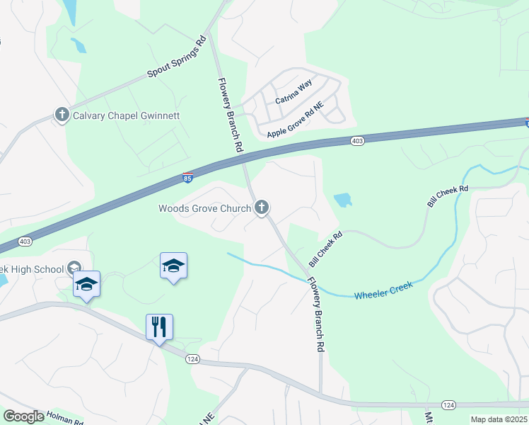 map of restaurants, bars, coffee shops, grocery stores, and more near Flowery Branch Road in Gwinnett County