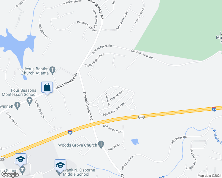 map of restaurants, bars, coffee shops, grocery stores, and more near 5251 Apple Grove Road Northeast in Buford