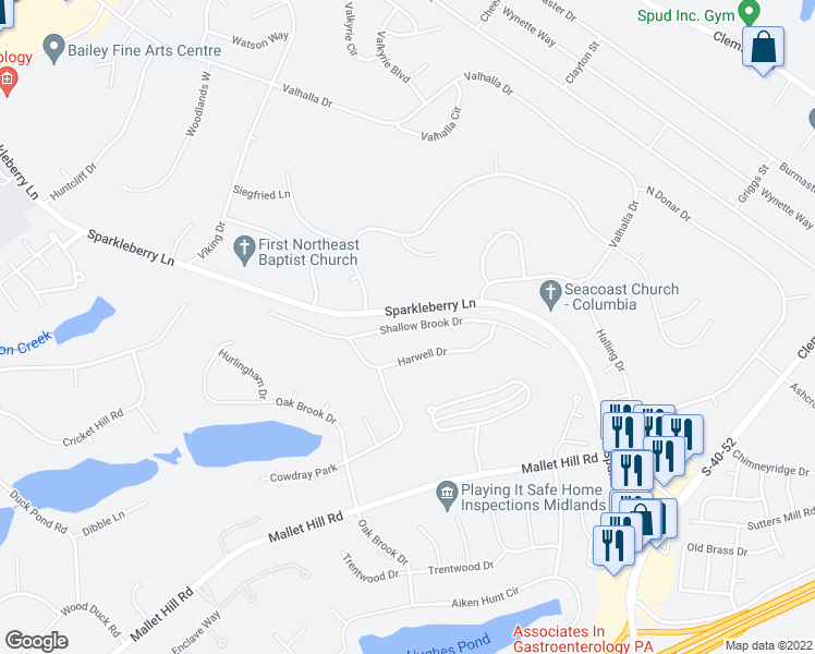 map of restaurants, bars, coffee shops, grocery stores, and more near 305 Shallow Brook Drive in Columbia