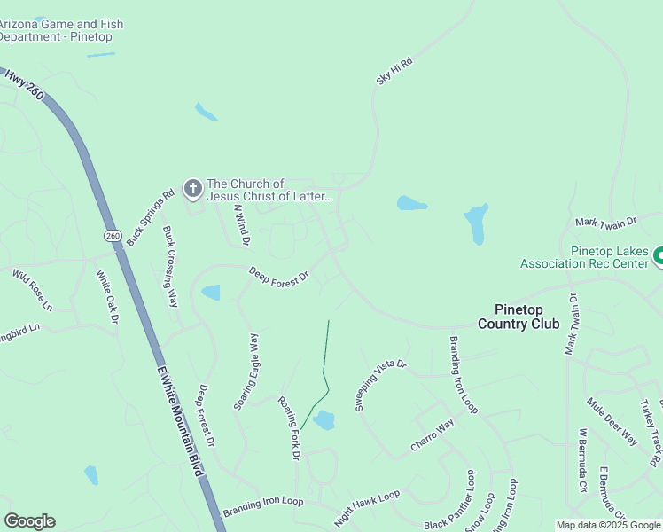 map of restaurants, bars, coffee shops, grocery stores, and more near 2868 Resort Loop in Navajo County