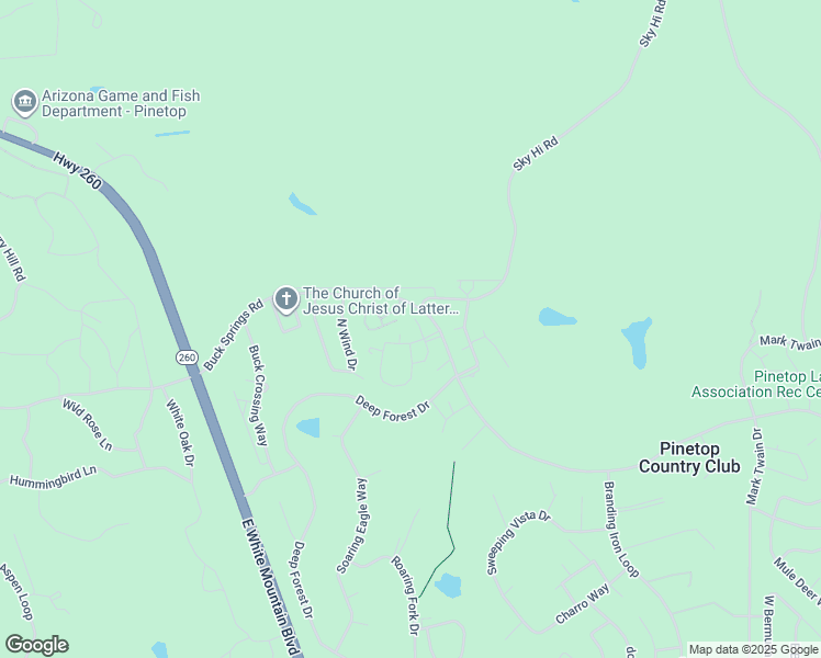 map of restaurants, bars, coffee shops, grocery stores, and more near 2565 Mustang Circle in Navajo County
