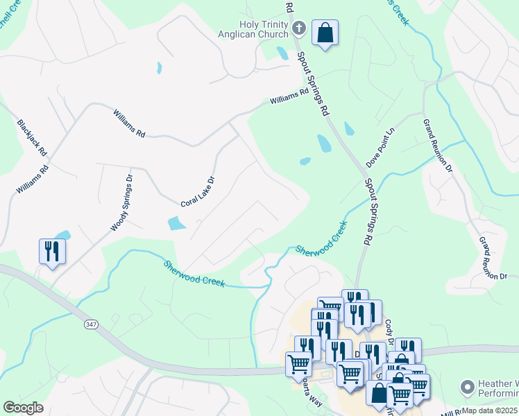 map of restaurants, bars, coffee shops, grocery stores, and more near 2031 Democracy Drive in Buford
