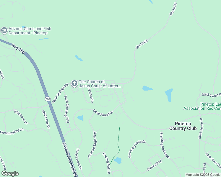 map of restaurants, bars, coffee shops, grocery stores, and more near 2565 Mustang Circle in Navajo County