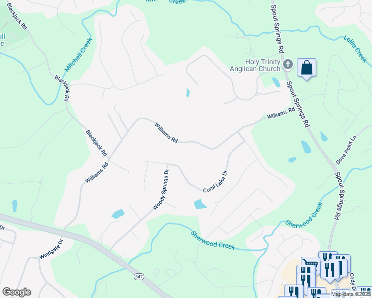 map of restaurants, bars, coffee shops, grocery stores, and more near 7251 Williams Road in Flowery Branch
