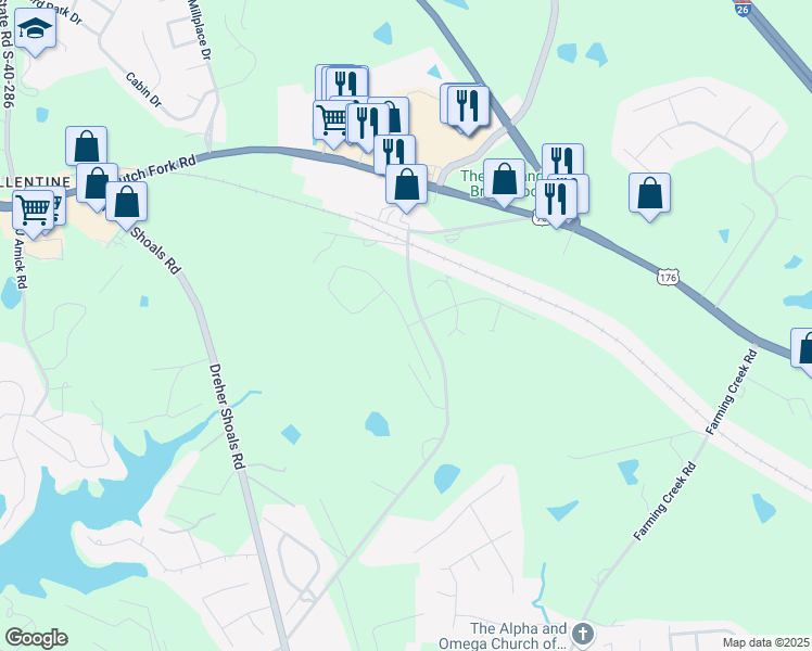 map of restaurants, bars, coffee shops, grocery stores, and more near 1056 Salem Church Road in Irmo