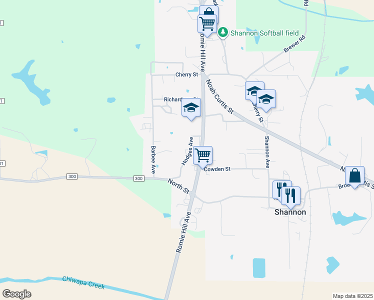 map of restaurants, bars, coffee shops, grocery stores, and more near 125 Hodges Avenue in Shannon