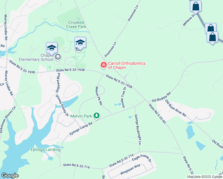 Chapin SC Walk Score