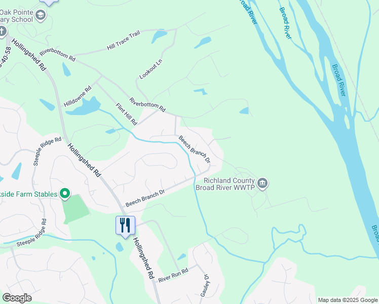 map of restaurants, bars, coffee shops, grocery stores, and more near 501 Beech Branch Drive in Irmo